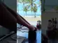 Guardanapo Intercalado Cai Cai Ponto a Ponto Folha Dupla 6900fls Azul